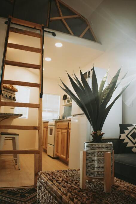 אלבוקרקי Agave Tiny House At Cactus Flower-Hot Tub-Pet Friendly-No Pet Fees! מראה חיצוני תמונה