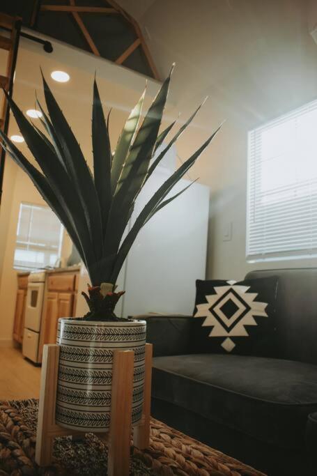 אלבוקרקי Agave Tiny House At Cactus Flower-Hot Tub-Pet Friendly-No Pet Fees! מראה חיצוני תמונה